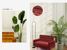 a living room filled with furniture next to a potted plant and a mirror on the wall