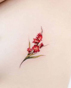 a woman's stomach with red flowers on the side and green stems sticking out of it