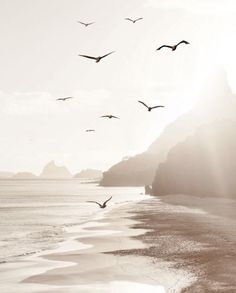 a flock of birds flying over the ocean next to a rocky cliff on a beach