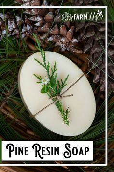 pine resin soap on top of pine cones