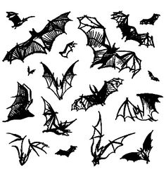 a bunch of bats flying in the air with their wings spread out, vintage line drawing or engraving illustration