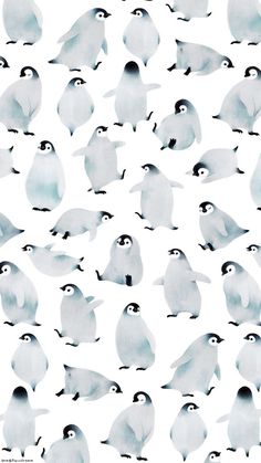 an image of many penguins on a white background