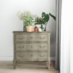 two potted plants sit on top of an old dresser