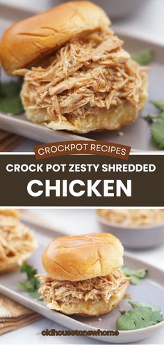 crock pot zesty shredded chicken sandwich on a plate with cilantro garnishes