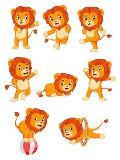 various poses of lion on white background