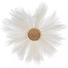 a white feather flower on a white background