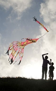 a man and child flying a kite on top of a hill