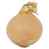 an onion is shown on a white background