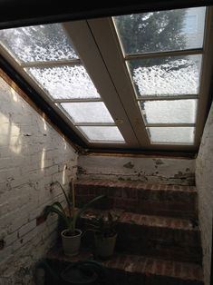 the inside of a house with some plants on the steps and skylights above it