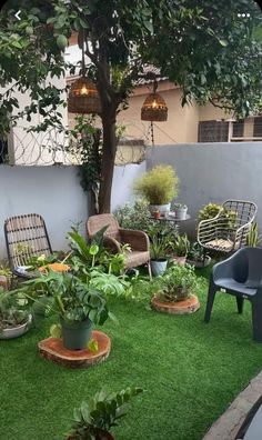 an outdoor area with chairs, potted plants and other greenery on the grass