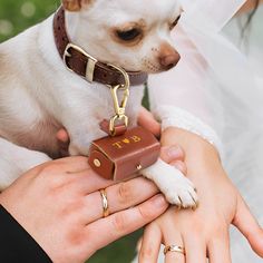 a small white dog is being held by two people in wedding attire and holding it's owner