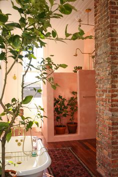 a bathroom with pink walls and plants in the bathtub, along with a rug on the floor