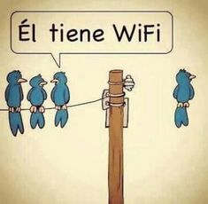 blue birds sitting on a wire with the words el tiene wifi above them