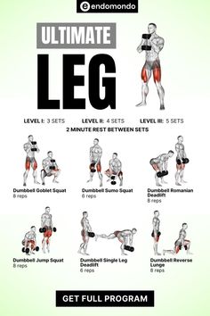 the ultimate leg workout guide for beginners to gain their upper and lower body muscles