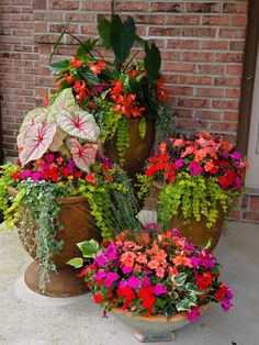 several potted plants are arranged in front of a brick wall