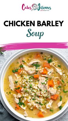 chicken barley soup with carrots and parsley in a white bowl on a gray background