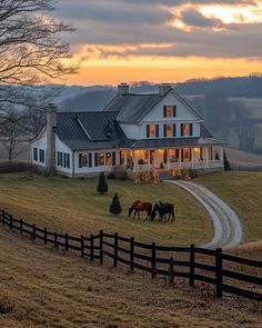 two horses graze in front of a large white house with a driveway leading to it