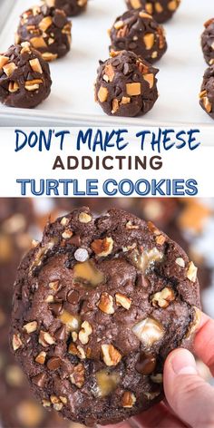 turtle cookies pin with text overlay Chocolate Turtle Cookies, Turtle Cookies Recipe, Chocolate Caramel Cookies, Chocolate Turtle, Resepi Biskut, Turtle Cookies, Chocolate Turtles, Resep Diet, Caramel Cookies