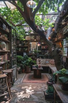 a room filled with lots of plants and bookshelves on the wall next to a tree