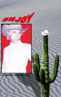 an image of a cactus in the desert with a cowboy hat on it's head