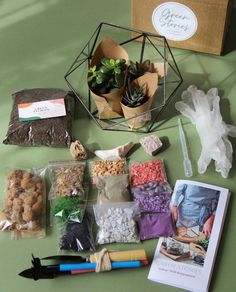 the table is covered with different types of items for making crafts and decorations, including an assortment of succulents