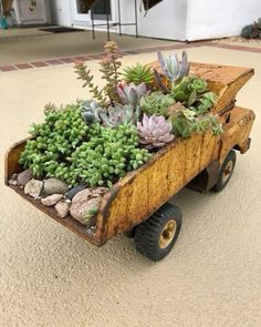 a wooden wagon filled with succulents on top of a cement floor next to a building