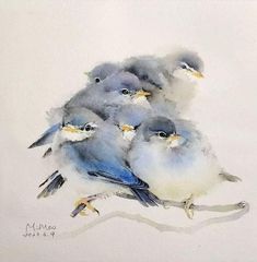 a group of birds sitting on top of a tree branch in watercolor and ink