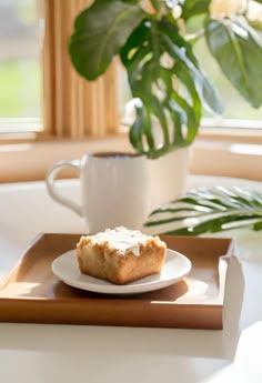 a plate with a piece of cake on it next to a potted plant and window