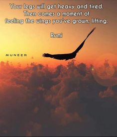 an eagle flying through the sky with a sunset behind it and a quote from rumi