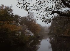 a river running through a lush green forest next to a white house with autumn leaves on it