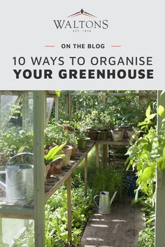 a greenhouse with lots of plants growing in it and the words 10 ways to organize your greenhouse