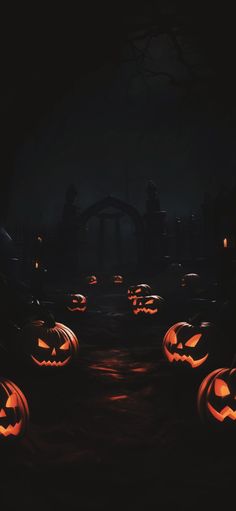 halloween pumpkins lit up in the dark