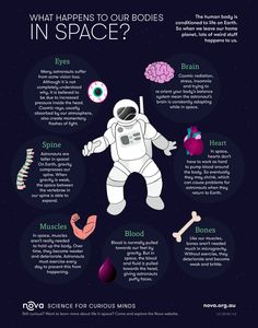 what happens to our bodies in space? infographical poster for kids and adults