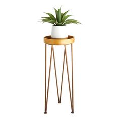 a potted plant sitting on top of a wooden stand