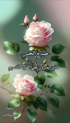 two pink roses with green leaves and the words in arabic are on top of each other