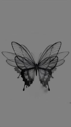 a black and white photo of a butterfly