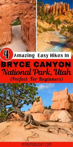 the national park utah is an amazing place to visit and enjoy it's natural beauty