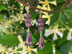 These beautiful earrings were created with 6x9mm bronzed lavender Czech glass beads and 20x9mm bronzed lavender Czech glass teardrop beads. These stunning earrings dangle from antique brass ear wires and measure 2 1/4 inches in length. These romantic and gorgeous earrings would be the perfect gift for you or someone special. Please message me if you are interested in more quantity than what is listed All of my listings are handmade with love and ready to ship!! Purple Long Drop Earrings With Ear Wire, Purple Dangle Teardrop Earrings With Ear Wire, Lavender Teardrop Earrings With Ear Wire, Handmade Lavender Crystal Drop Earrings, Purple Drop Earrings With Ear Wire, Purple Long Drop Earrings As Gift, Purple Hypoallergenic Dangle Crystal Earrings, Purple Dangle Teardrop Earrings Gift, Nickel Free Teardrop Purple Earrings