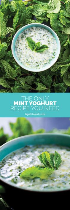 mint and yogurt recipe you need to make it in the microwave or on the stove