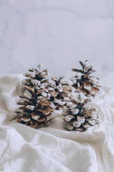 three pine cones sitting on top of a white blanket