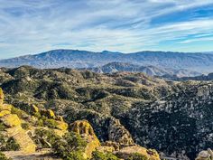 the mountains are covered with trees and bushes