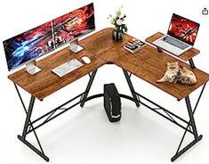 a computer desk with two laptops and a cat on it