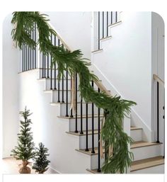 Norfolk Pine Garland, Vine Decoration, Indoor Holiday Decor, Norfolk Pine, Artificial Pumpkins, Pine Garland, Artificial Greenery, Pine Wreath, Garland Christmas