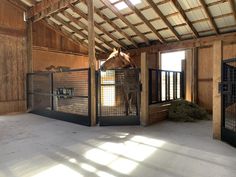 a horse is standing in its stall at the stable