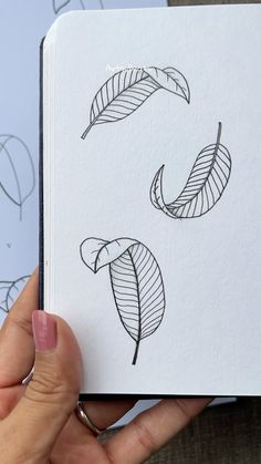 a hand holding an open book with two leaves on the front and one leaf on the back