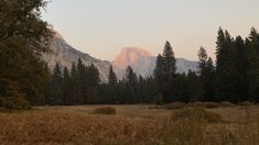 there is a mountain in the distance with trees and grass on the ground near by