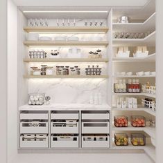 an organized pantry filled with lots of food