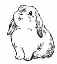 a black and white drawing of a small bunny sitting on the ground with its head turned to the side