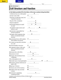 the cell structure and function worksheet is shown in this image, with text below it