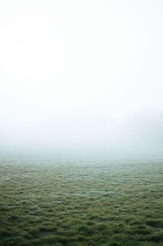 an empty field covered in green grass and fog